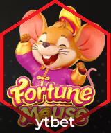 Jogos-Ao-Vivo